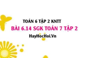 Bài 6.14 SGK Toán 7 tập 2 Kết nối tri thức